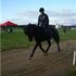 Cecilie R