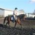 - (*)Kihl(*) -