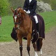 Louise K * *MC - P*  *