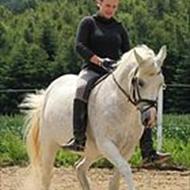 Josefine &' Pride {Team Falken }