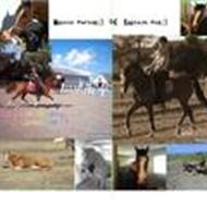 Simone ¤Team KBS ¤ D.S.F.M.C.L. -