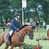 ¤ Team Ertmann ¤