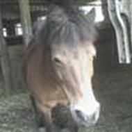 Donna&Malene er tilbage igen! kæmp så får du det .