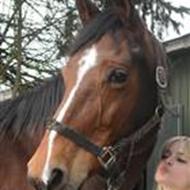 ..::Emilie&Akeleje::.. .