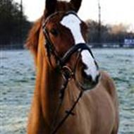  Ida Hansen  - Nando - <3 .