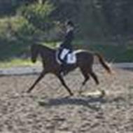 ¤Astrid, Victor, Dominic og Klaus¤ !