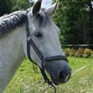 Maria Nolte Bager!  .