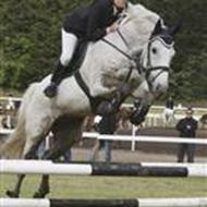 » (`v´) C i ll E Bunk <3  p