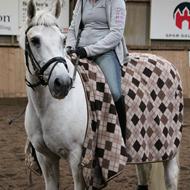 Emmelie Mosegaard - LERK   .