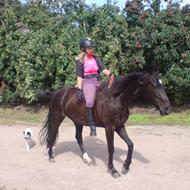 gitte r