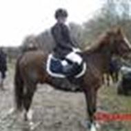 Natashia Wöhliche, Floris og Nevertheless-Tetti< 3