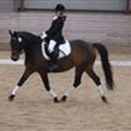 *Victoria Mosevang Skindbjerg A rytter