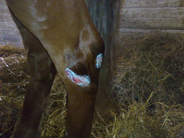 Faffes hudafskrabning