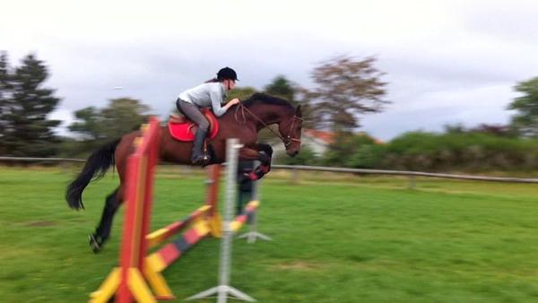 Baby jump stævne på HOSK