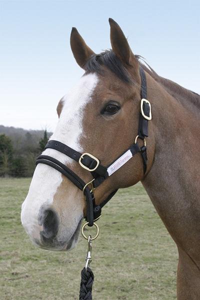 Monty Roberts grime-jeres mening