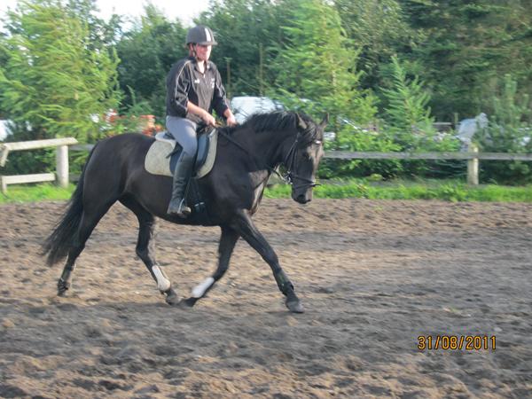 ang. træning af 4 års.