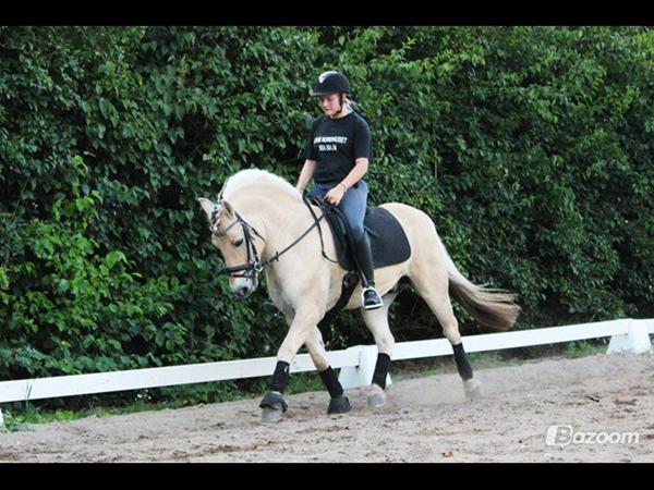 Tunge racer som bliver brugt??