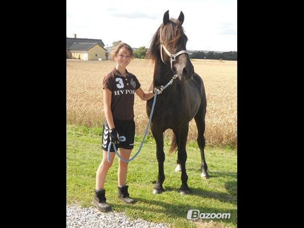 Tilridning på Djursland?