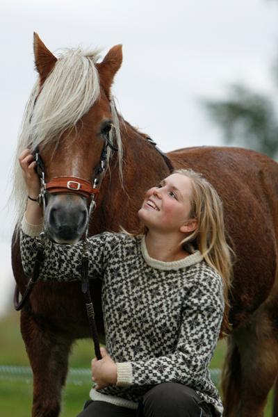 Back on Track til hest med slidgigt i kodeledet