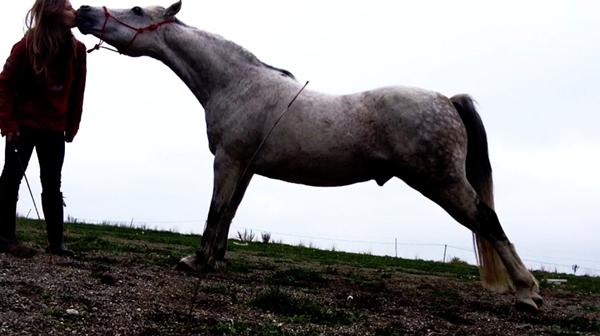 Glædes indlæg. (Nyt trick).