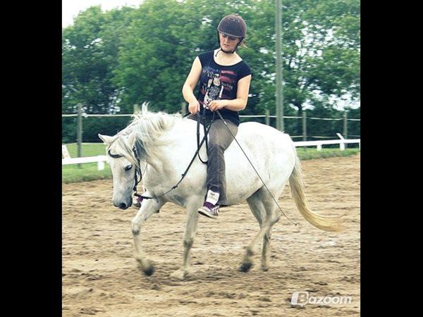 Pony/Horse of the week UGE 43