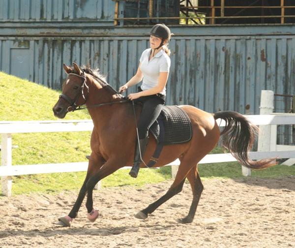 Få underlag m. elastikgjord til og blive