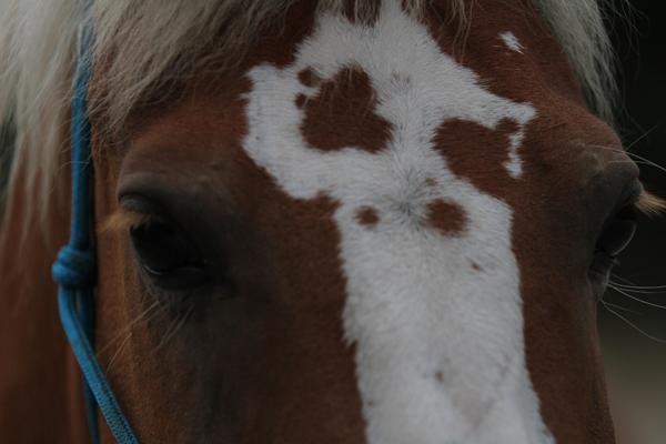 Min halloween baggrund.