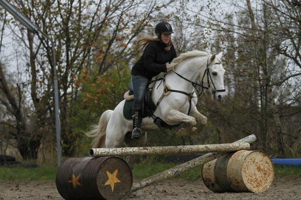 hvad drømmer i om at opnå med jeres hest/part ?