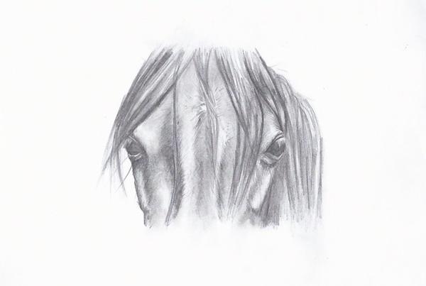 Ny tegning. Kan i se forbedring.