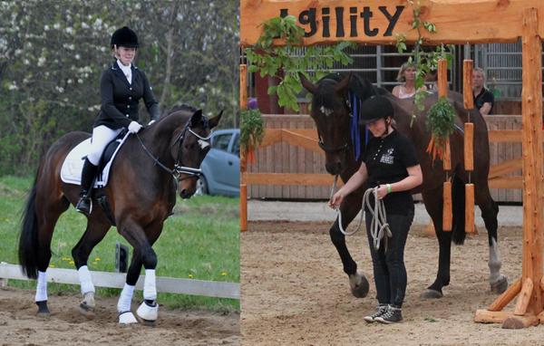 Jordtræning vs. Ridning? 