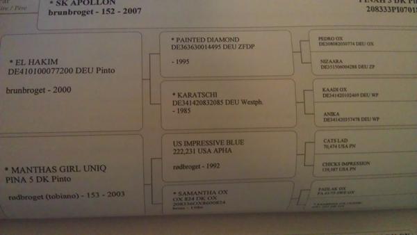 Nogle med forstand på forkortelser / betegnelser i pas?