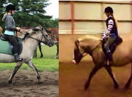 Forskel fra dengang til nu