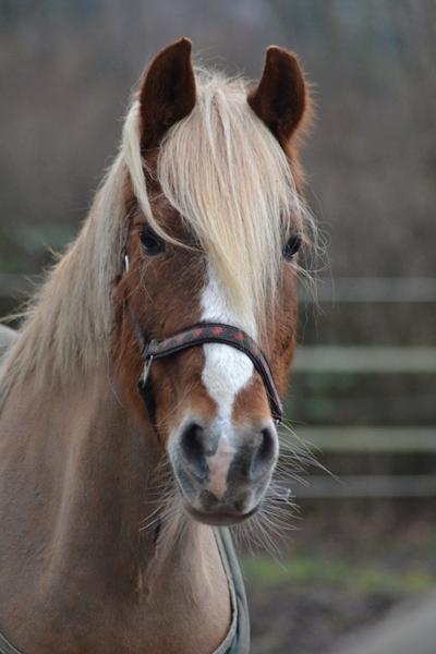 Træningskegler, HVOR?