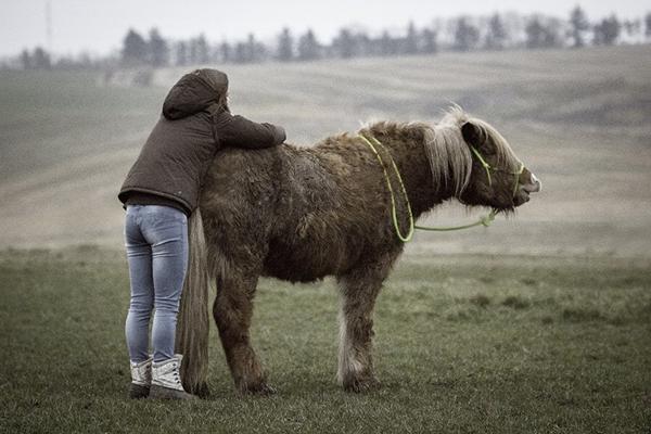 Cushings hest og dårligt vejr?