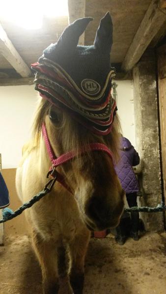 Ond dyremishandler! (Fortsat)