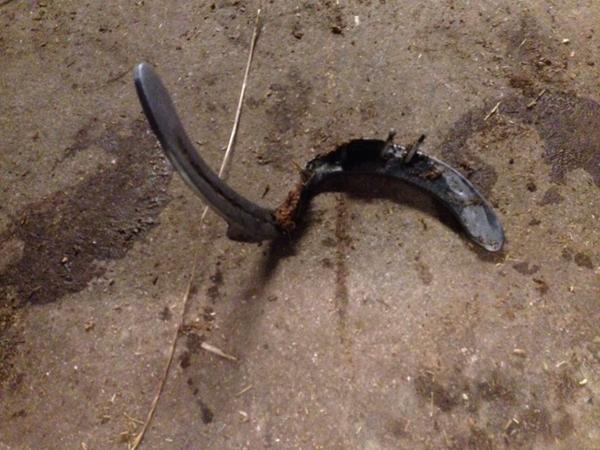 Smed omkring haslev! Tabt sko, se billede...