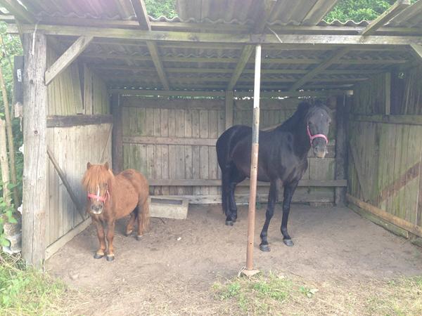 Boksstørrelse, kan det passe?!