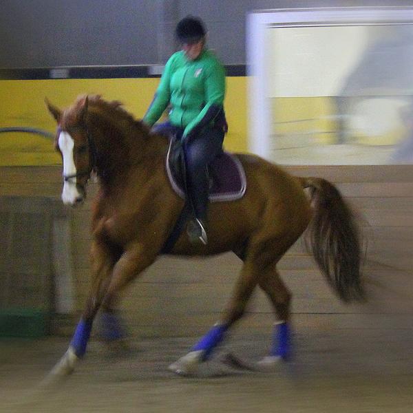 sportseferskolen sjælsølund