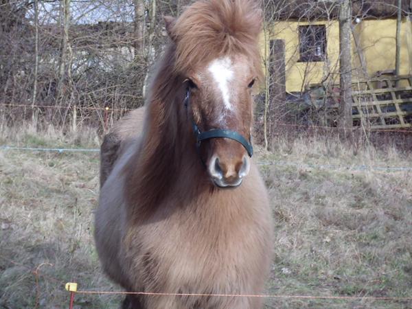Fortsættelse af købe ubeset