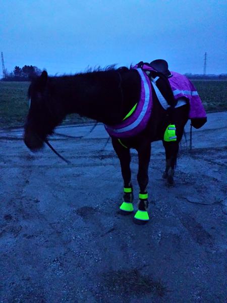 vis jeres heste med reflekt udstyr :)