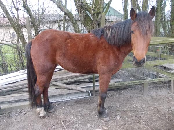 Nogle der kender eller har set hende her før? :)