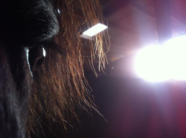 Jeres bedste Close-Up billede(e)