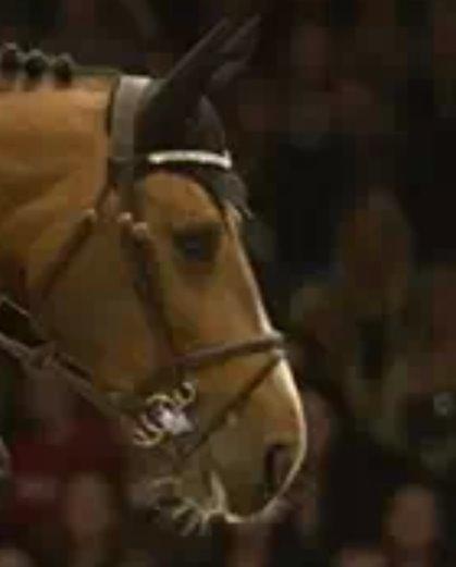 Jeres erfaringer med bid? :-)