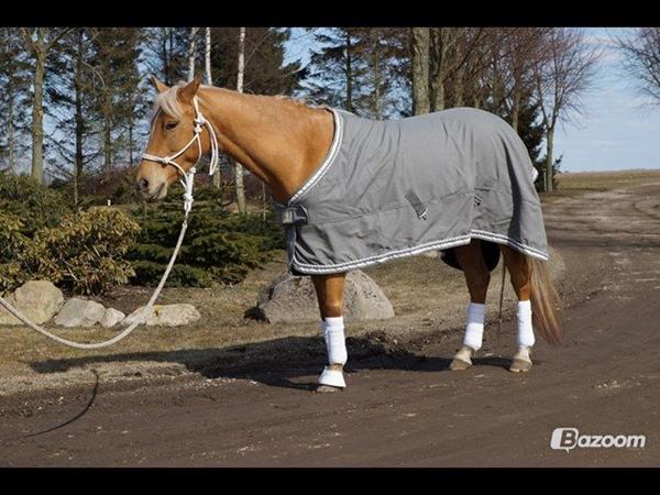 Farven + sæt? Denne RBH cooler