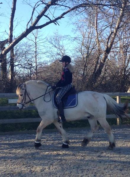 Bærer han sig selv her?