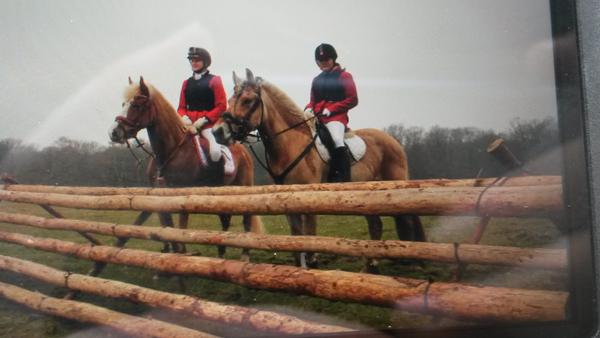 Aldrig undervuder en jagtpony!