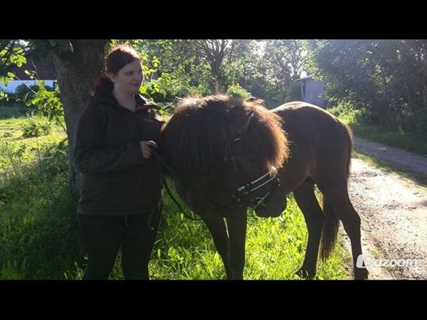 Ridning/træning jylland..