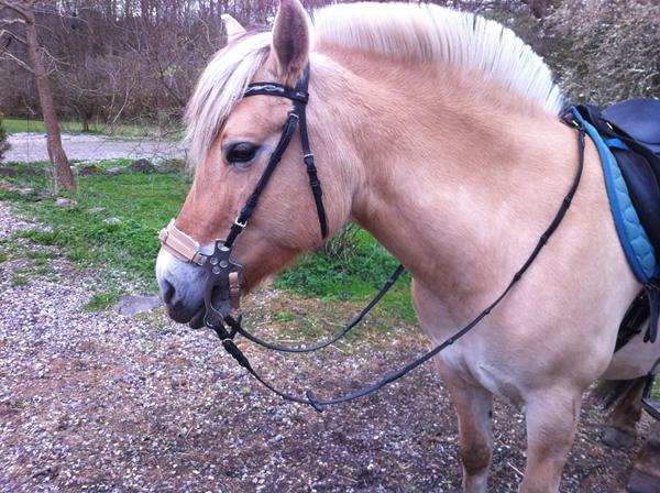 sidder den rigtigt??