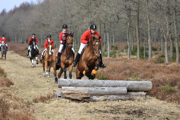 Forårsjagt i Kompedal 19/4 *midtjylland*