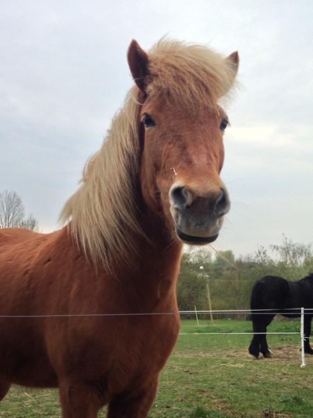 Har jeg søskende her? :)